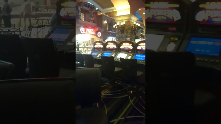 Las Vegas カジノ☆