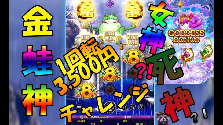 #79【オンラインカジノ｜スロット】1回転3,500ベットチャレンジ！金蛙神は女神？ちに神？！