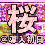 【沖海桜319】高継続の桜は最高！海物語実戦！【新台パチンコ】